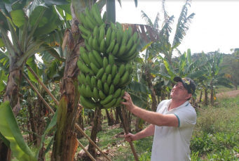 Notícia - Sebrae cria ecossistema em municípios do Sul de SC para impulsionar agricultura familiar