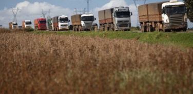 Notícia - Demanda de frete rodoviário no agronegócio tem incremento