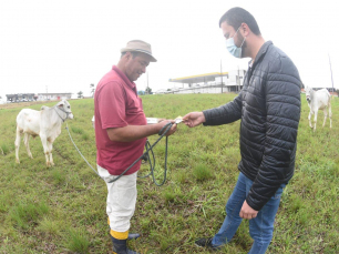 Notícia - Alex e Bia apresentam planejamento estratégico para a agricultura