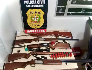 Notícia - Armas são apreendidas em investigação de violência doméstica