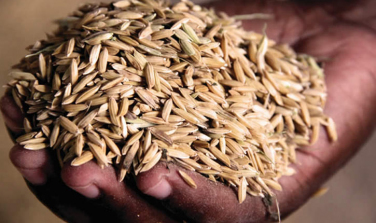 Notícia - Supermercados contra os aumentos no ICMS do arroz