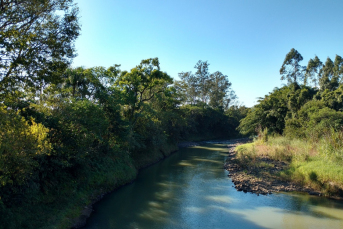 Notícia - Época de plantio de arroz aumenta consumo de água na Bacia do Rio Araranguá