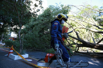 Notícia - Bombeiros registram quase cinco mil chamadas para atendimento