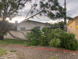 Notícia - Criciúma teve granizo durante temporal