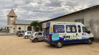 Notícia - BusCão castra 18 animais no bairro Coqueiros