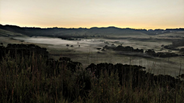 Notícia - Geada modifica paisagem em São Joaquim (VÍDEO)