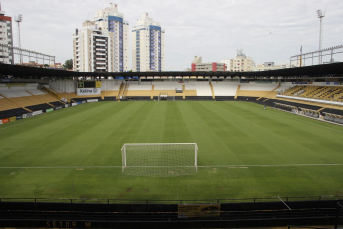 Notícia - Tigre marca a data de entrega do gramado: 20 de março