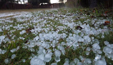 Notícia - Epagri irá calcular o prejuízo deixado pelo granizo