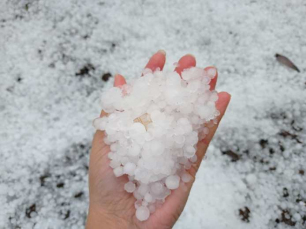 Notícia - Temporal de granizo atinge Urupema