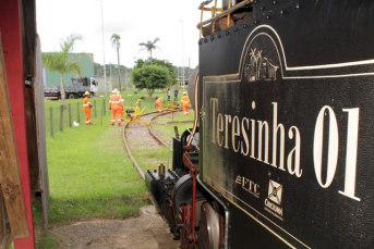 Notícia - Teresinha volta à ativa nesta sexta-feira