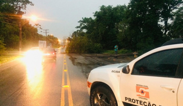 Notícia - Defesa Civil emite alerta para temporal na região sul