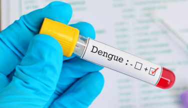 Notícia - SC confirma mais três mortes por dengue em menos de uma semana