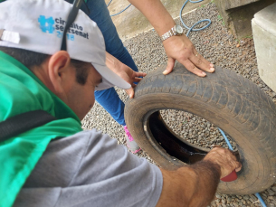 Notícia - Içara confirma mais dois casos de dengue