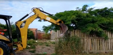 Notícia - DIC prende um por tráfico e destrói local usado para venda de produto ilícito