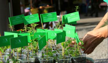 Notícia - Dia Mundial do Meio Ambiente com atividades na Praça Nereu Ramos