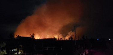 Notícia - Bombeiros combatem incêndio em mata em Arroio do Silva