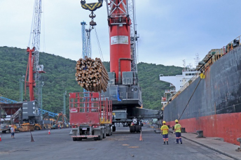 Notícia - Porto de Imbituba realiza maior embarque de madeiras do país