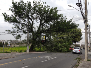 Notícia - Balneário Arroio do Silva registra ventos de quase 100 km/h