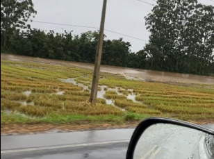 Notícia - Prefeito desmente evacuação de cidade do Sul por conta da chuva 