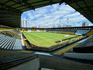 Notícia - Criciúma x Palmeiras - Após 50 dias, Tigre volta a jogar em casa pelo Brasileirão