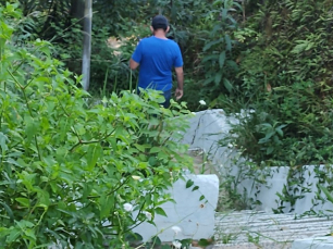 Notícia - Mato e mau cheiro na escadaria da Santo Antônio