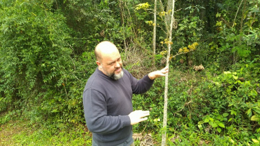 Notícia - Fragmentos florestais de mata nativa integram espaços da Satc