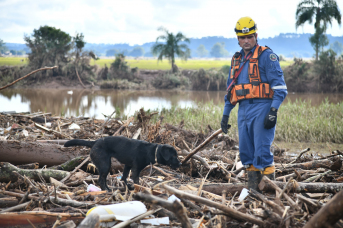 Notícia - RS: Bombeiros de SC estão em Cruzeiro do Sul fazendo buscas em áreas deslizadas