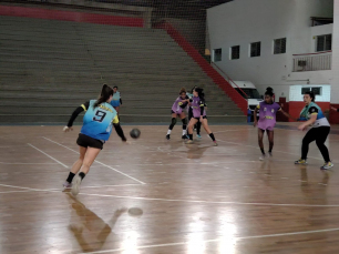 Notícia - Equipe feminina adulta de Criciúma prepara-se para a Liga Nacional de Handebol (VÍDEOS)