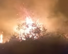 Notícia - Incêndio em vegetação é registrado no Sul do estado (VÍDEO)