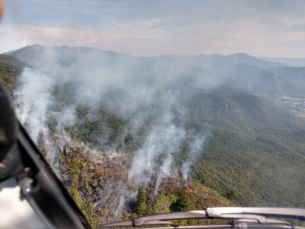 Notícia - Incêndios em vegetação no estado crescem 407% em 2020