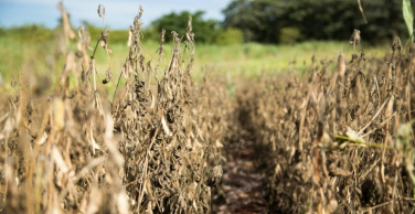 Notícia - Fórum Climático aponta preocupação com chuvas em fevereiro e março