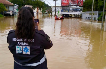 Notícia - Chuvas em SC: mais de 70% dos empresários relatam queda no faturamento (ÁUDIO)