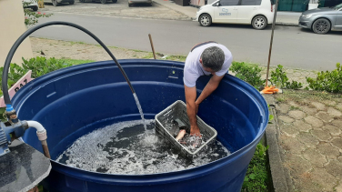 Notícia - Feira do Peixe Vivo da semana será nesta quinta em Içara