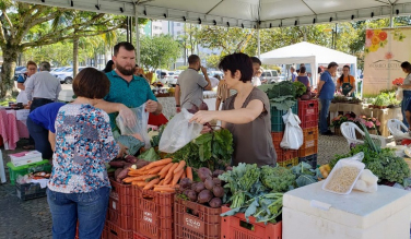 Notícia - Gastronomia em Pauta direto da Feira da Agricultura Familiar