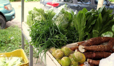 Notícia - Variedades na 2° edição da Feira da Agricultura Familiar