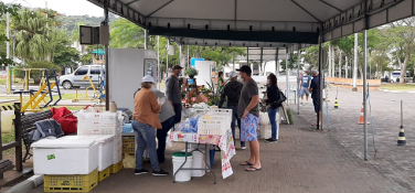 Notícia - Feira da Agricultura Familiar é retomada em Siderópolis