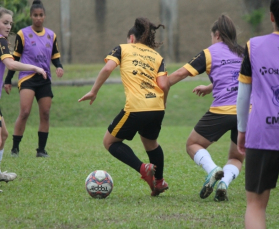 Notícia - Feminino sub-14 inicia disputa da Liga de Desenvolvimento