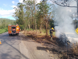 Notícia - Treviso: motorista dorme no volante e veículo pega fogo após colidir em árvore