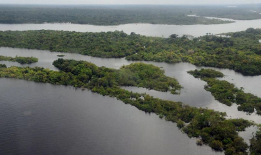 Notícia - Alemanha retomará investimentos no Fundo Amazônia