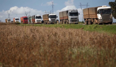 Notícia - Demanda de frete rodoviário no agronegócio cresceu 8,6% em julho