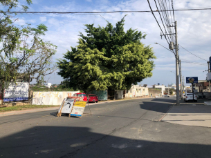 Notícia - Tráfego da Rua Henrique Lage volta ao normal nesta quarta-feira