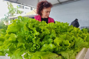 Notícia - Nova Veneza: Feira da Agricultura Familiar retorna nesta sexta-feira