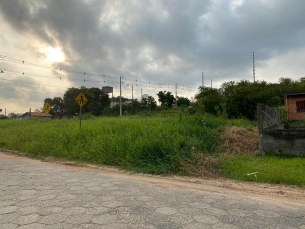 Notícia - Em Morro da Fumaça, proprietários de terrenos não conservados podem ser multados