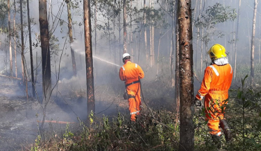 Notícia - Chuva alivia a situação dos incêndios em Urussanga