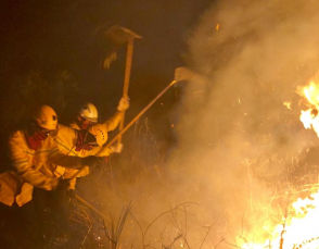 Notícia - Bombeiros da região vão combater incêndio florestal no Mato Grosso do Sul