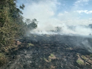 Notícia - Incêndio em vegetação é registrado em Jaguaruna 