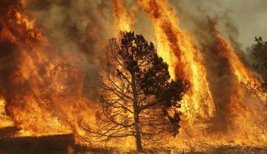 Notícia - Cuidado com os incêndios