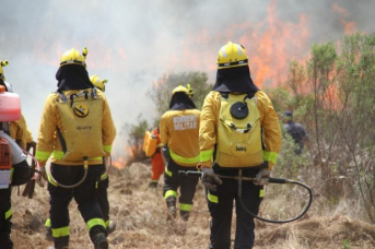 Notícia - Bombeiros de SC vão combater incêndios no Mato Grosso do Sul