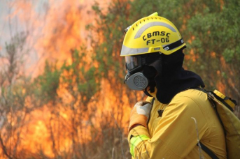 Notícia - Santa Catarina tem maior número de incêndios florestais em quatro anos