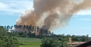 Notícia - Sangão: bombeiros combatem incêndio em grande área de vegetação